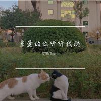 听我说,亲爱的 (A伴奏)