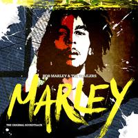 Marley Bob - Bob Marley Medley (unofficial instrumental)
