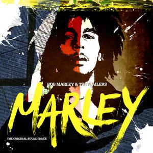 Bob Marley Medley （升8半音）