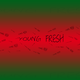 YOUNG FRESH
