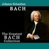 Johann Sebastian Bach - Brandenburg Concerto Nº4 in G major, BWV 1049: II. Andante (Instrumental)