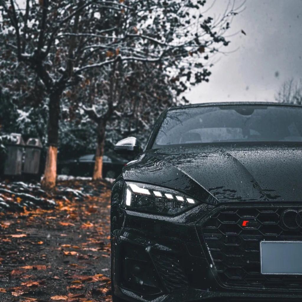 In The Shadow Of The Sun