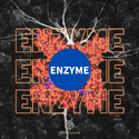 ENZYME