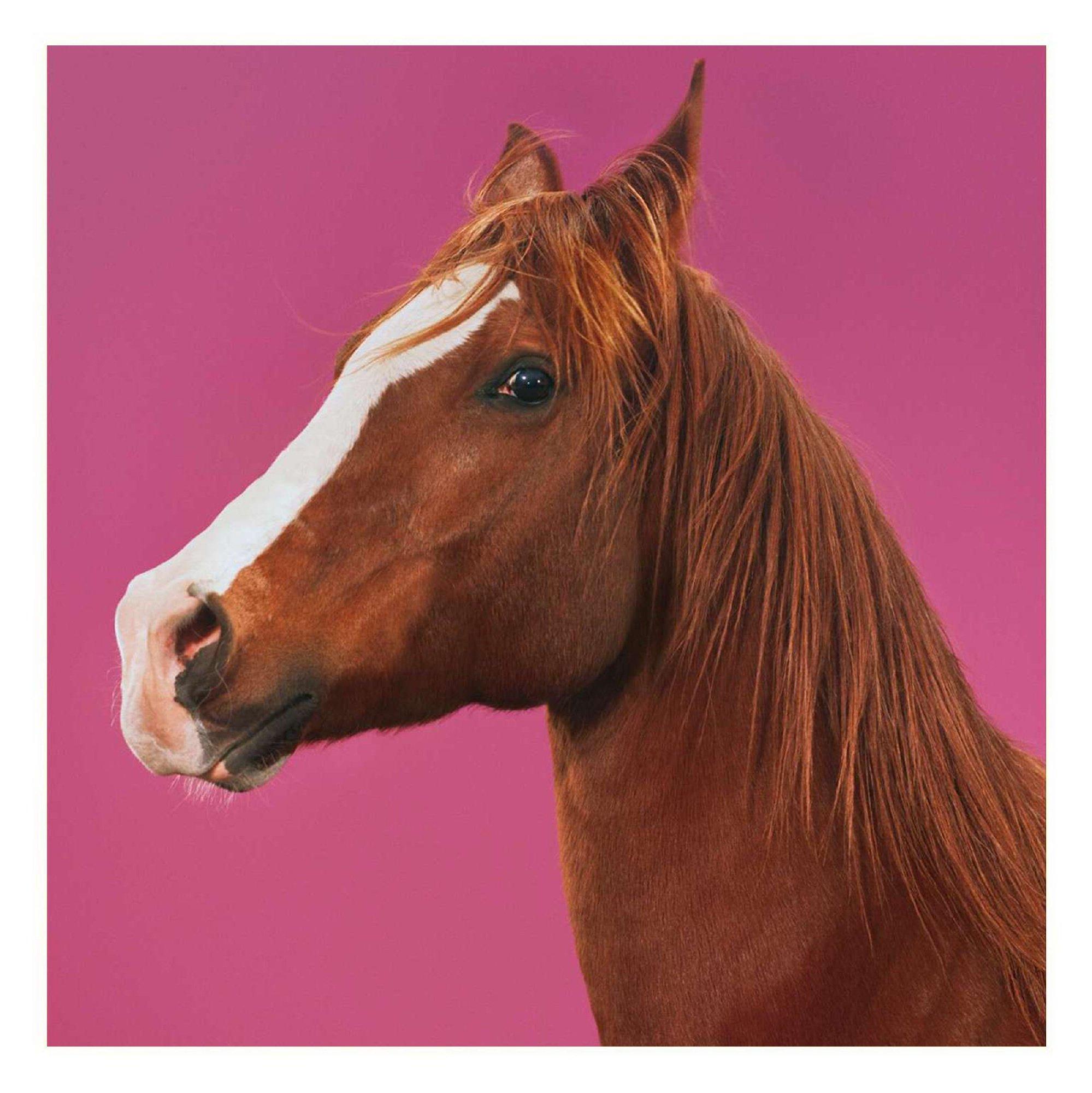 年度副本通关，骑“马”跨年去！ | 在线播放 | 网易云音乐