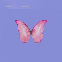 Sia - Butterflies (Official Instrumental) 原版无和声伴奏