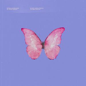 Abe Parker - Butterflies (HT Instrumental) 无和声伴奏 （升4半音）