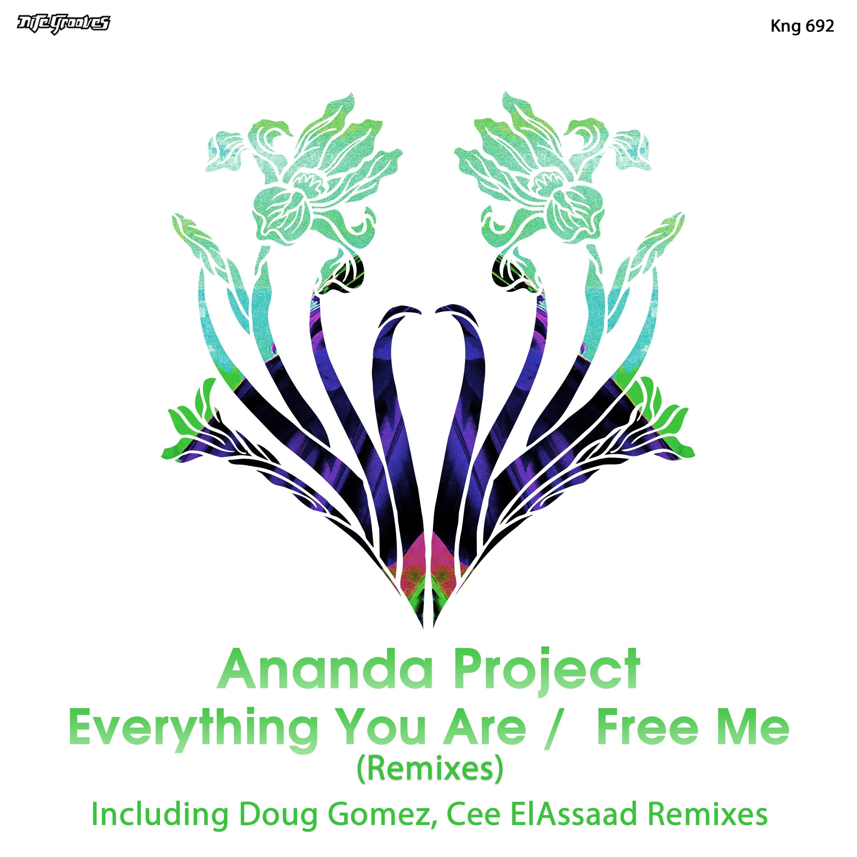 Everything You Are / Free Me (Remixes)