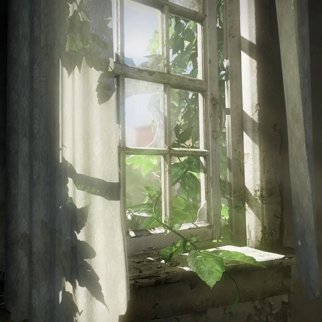 Window
