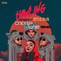 Howling (Charlie Lane Remix)