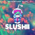 Fade (Slushii Remix)