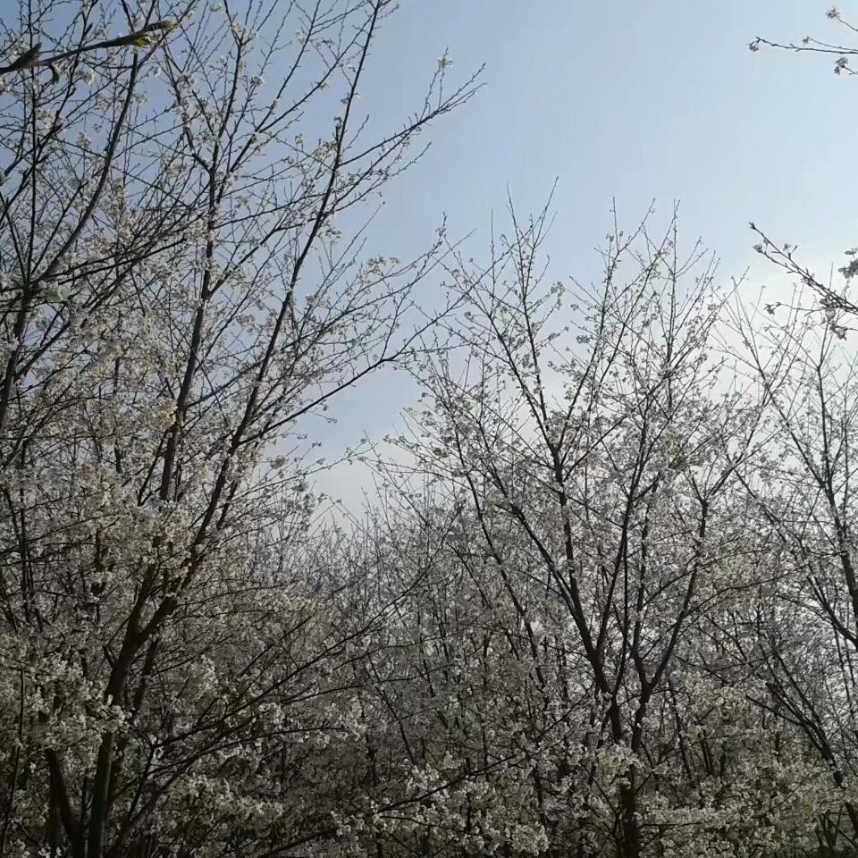 永远不忘