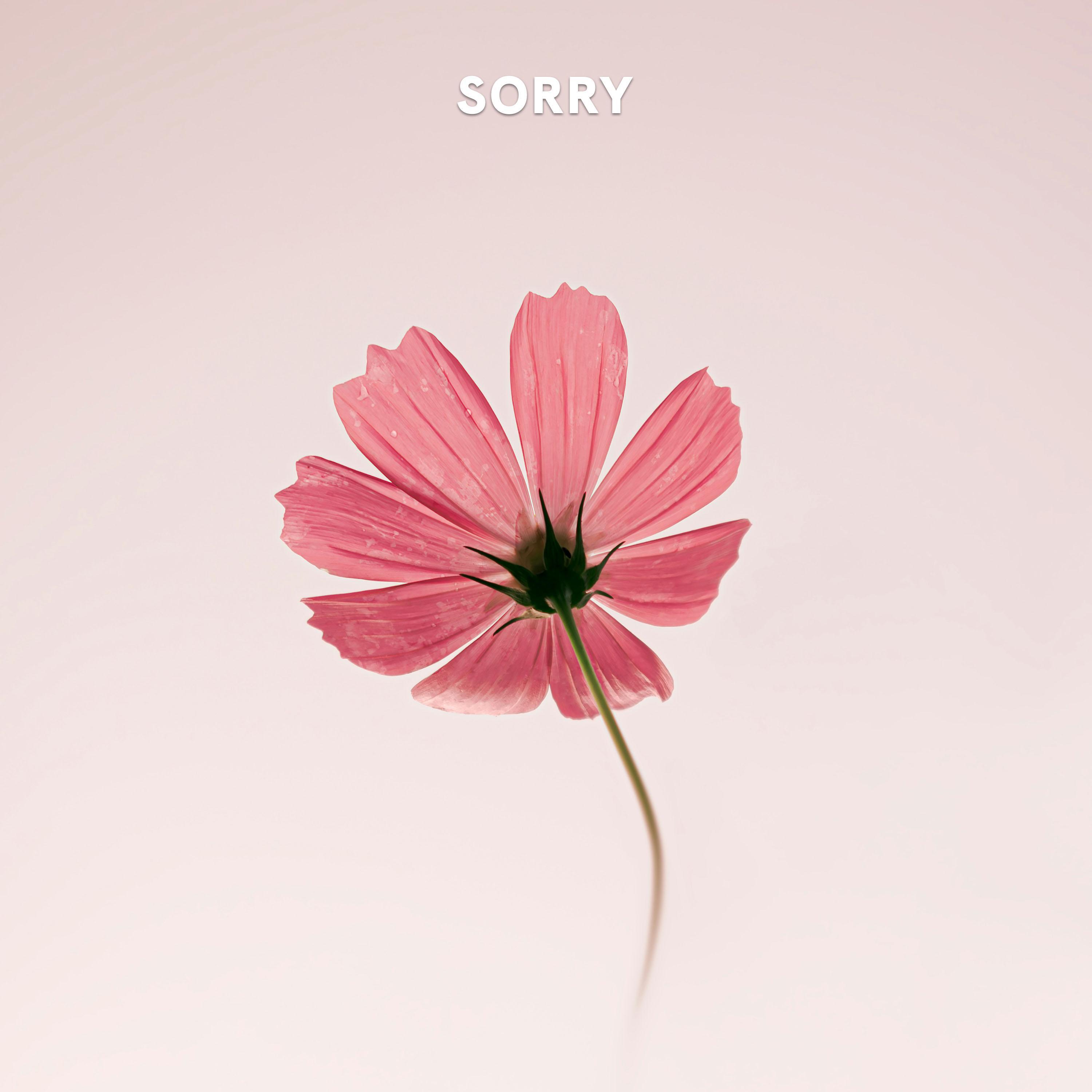 sorry