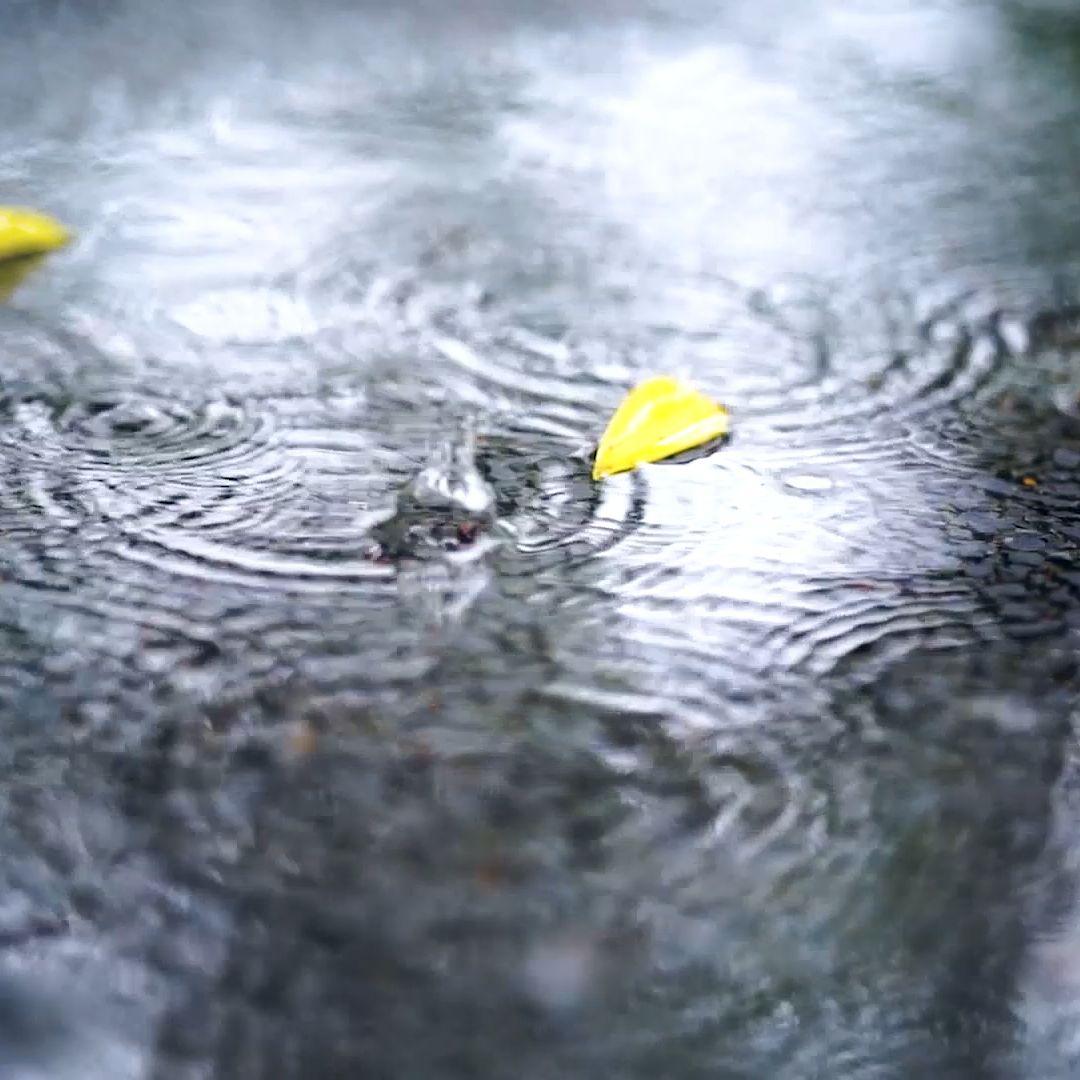 不值得（DJ旋律）