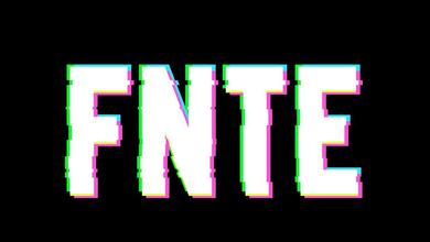 F.N.T.E.