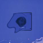我独自升级(Level Up,Lonely)专辑