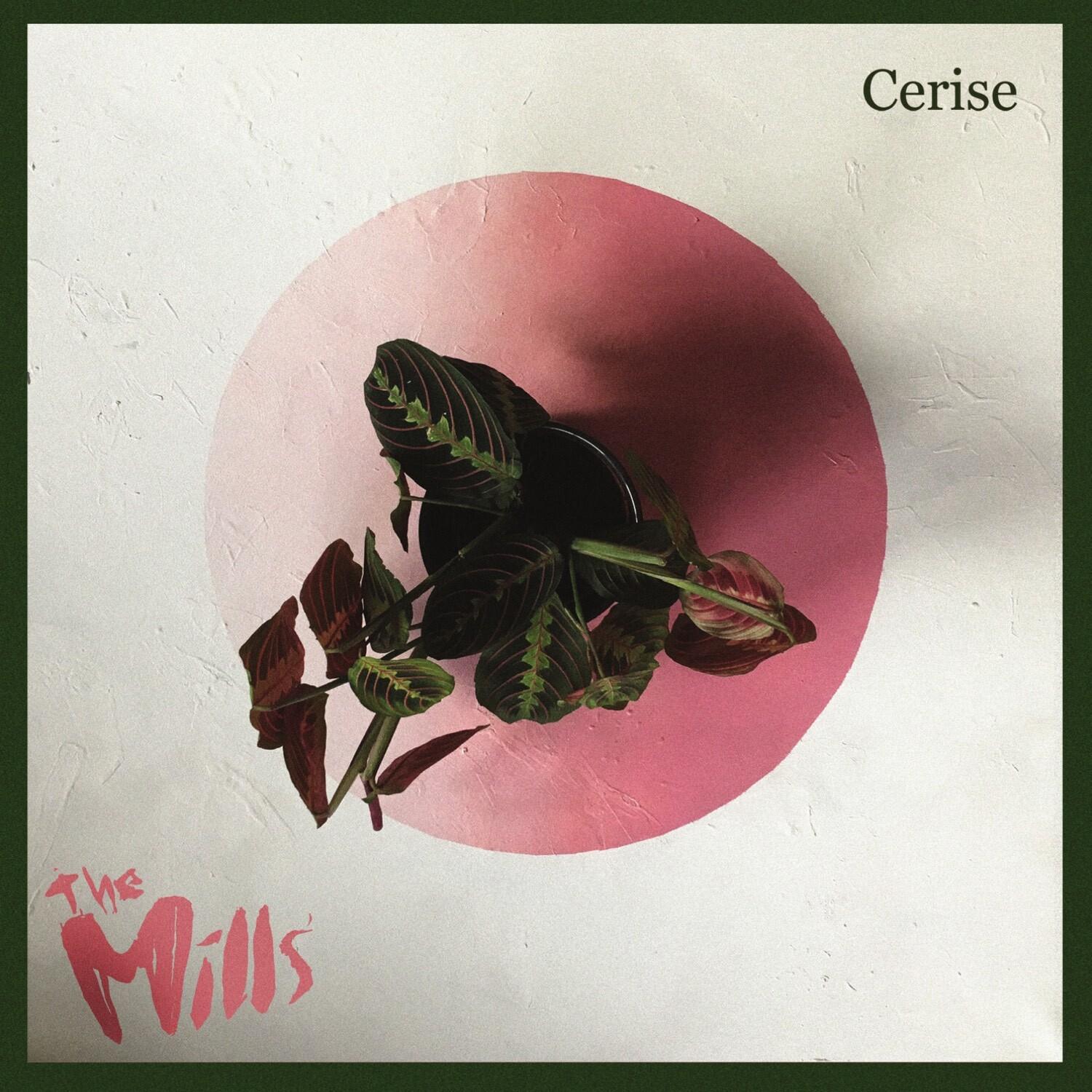 Cerise