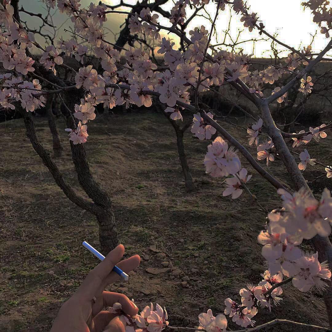 Adele-Rolling in the Deep（DIPIENS Remix）