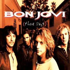 Bon Jovi - Diamond Ring (Karaoke Version) 带和声伴奏