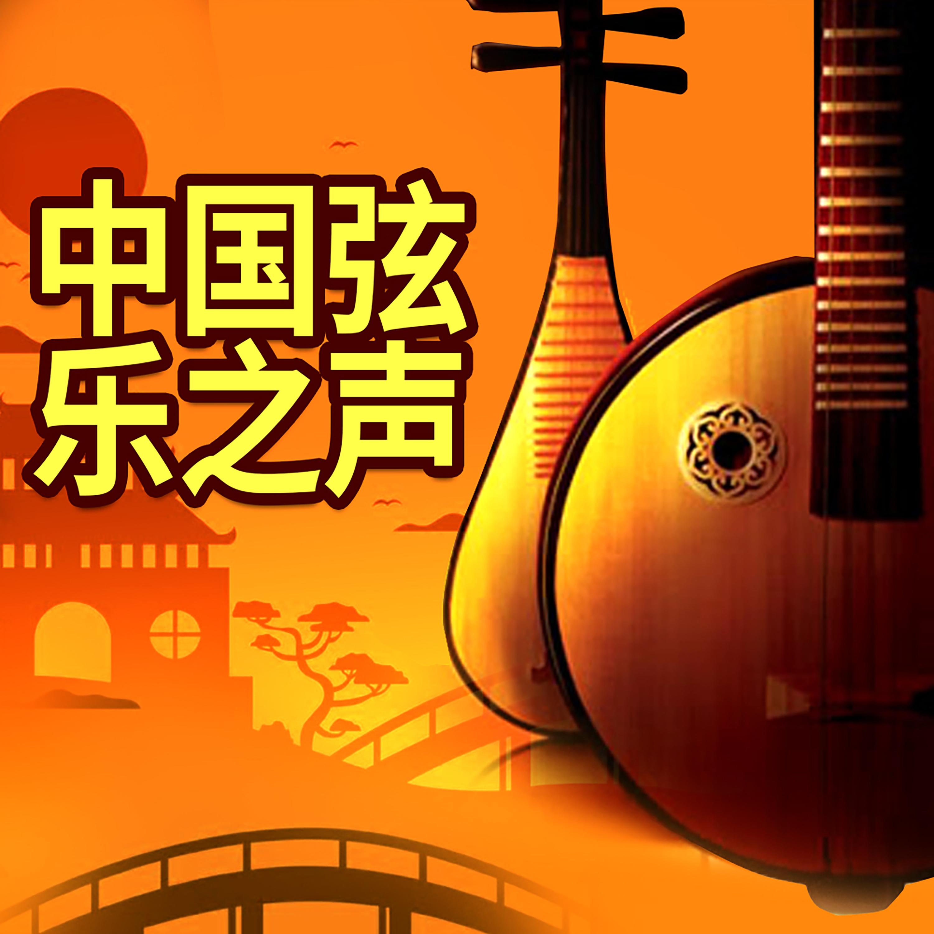 中国弦乐之声