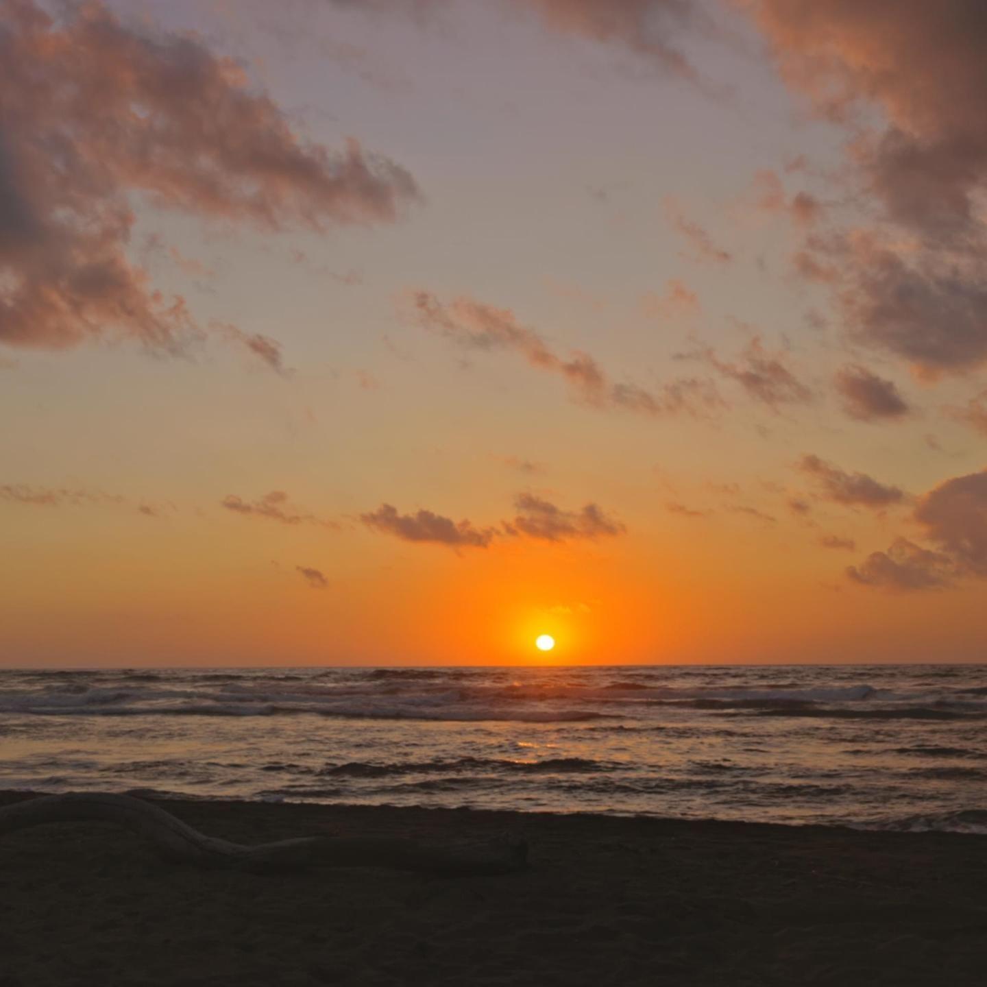 我曾捡到一束光 日落时还给了太阳