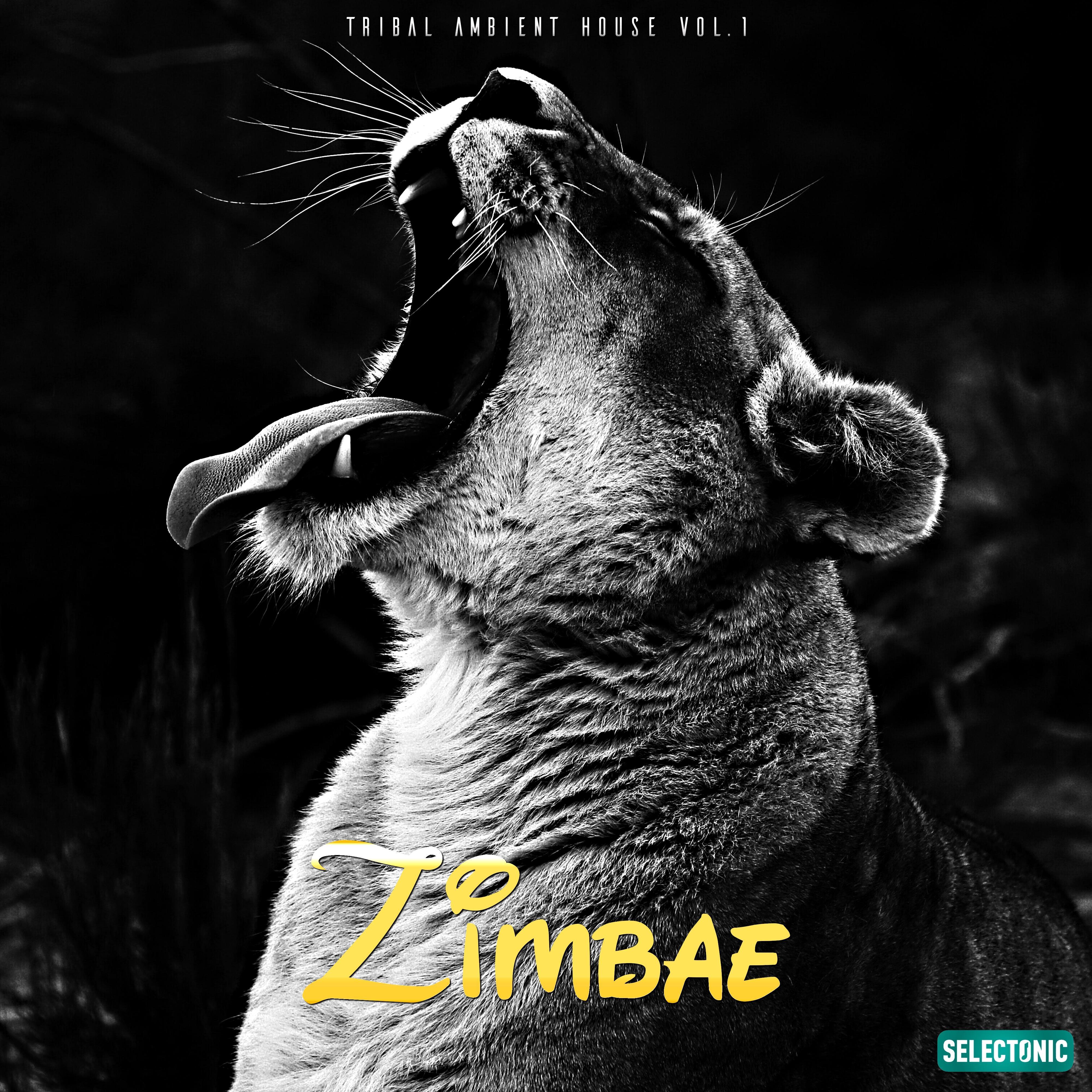Zimbae: Tribal Ambient House, Vol. 1