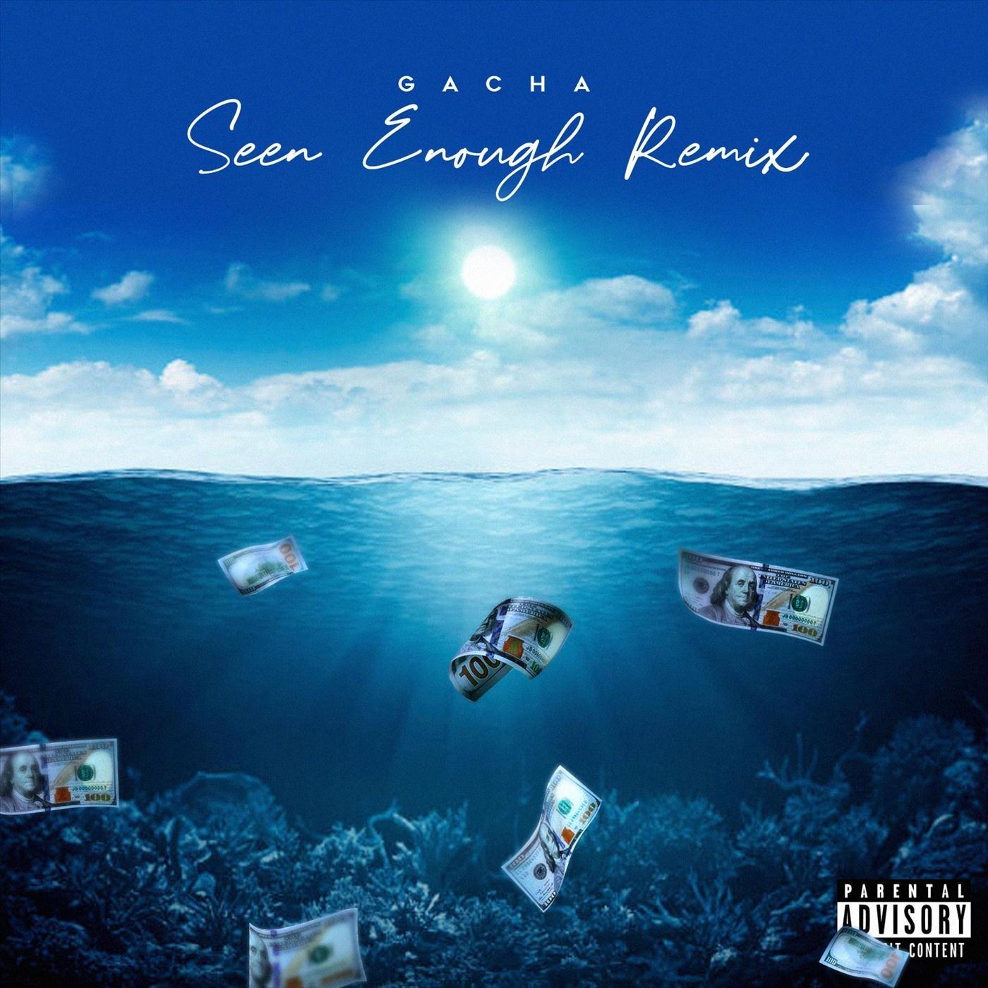 Seen Enough (Remix)