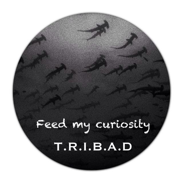 Feed My Curiosity