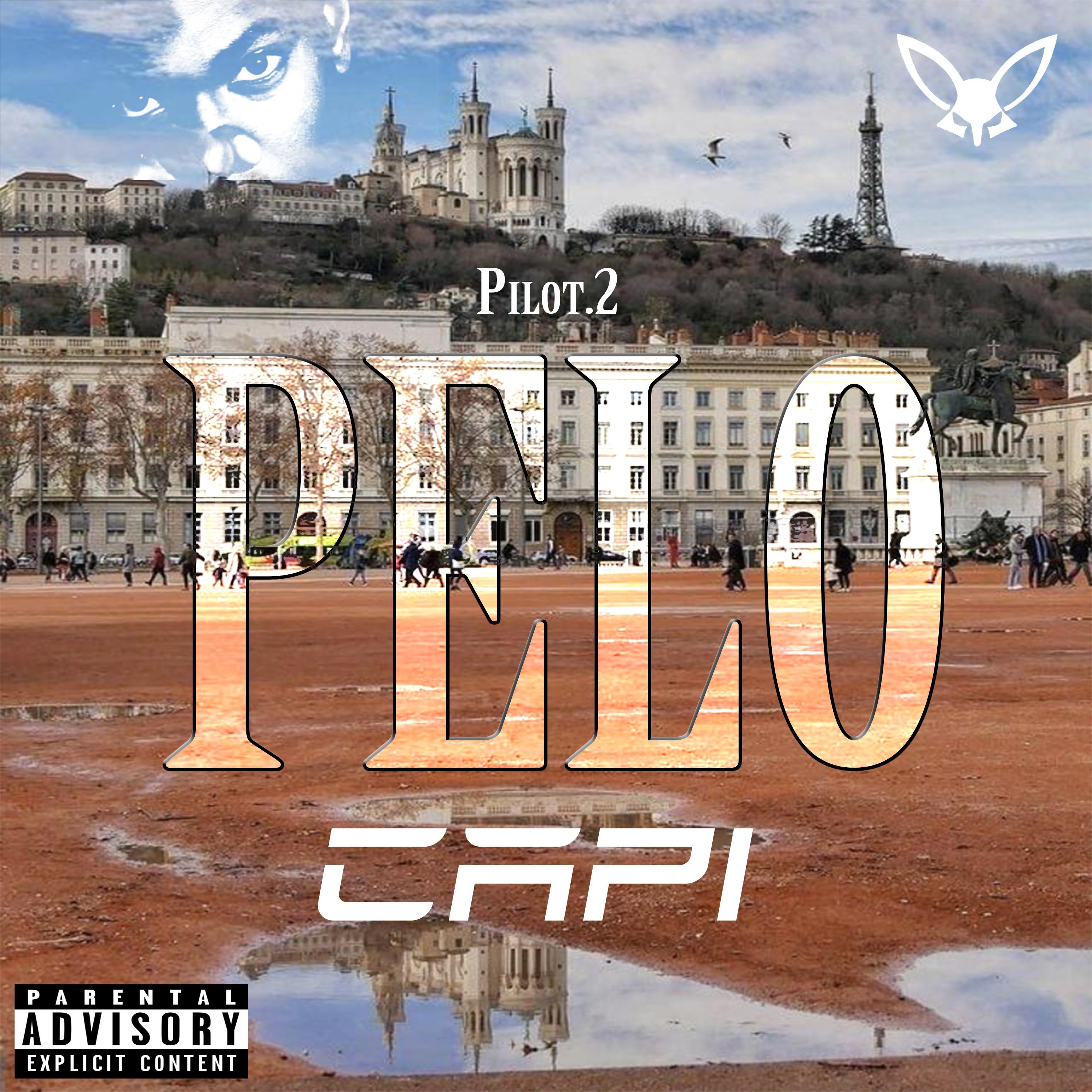 Pelo