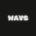 WAVS