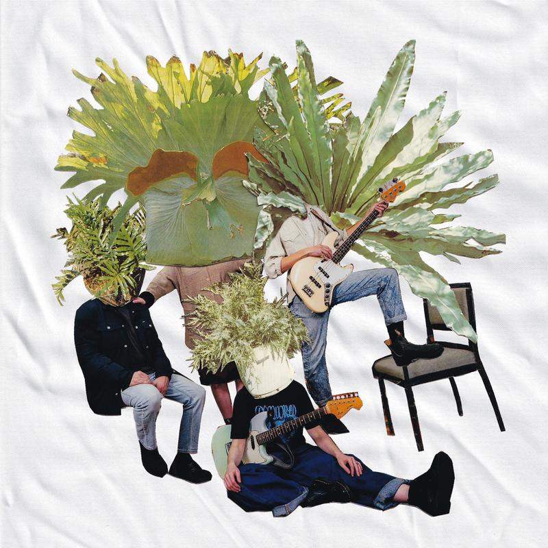 Dare To Fall In Love