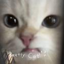 Pretty Cat专辑