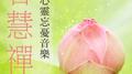 智慧禅 (心灵忘忧音乐)专辑