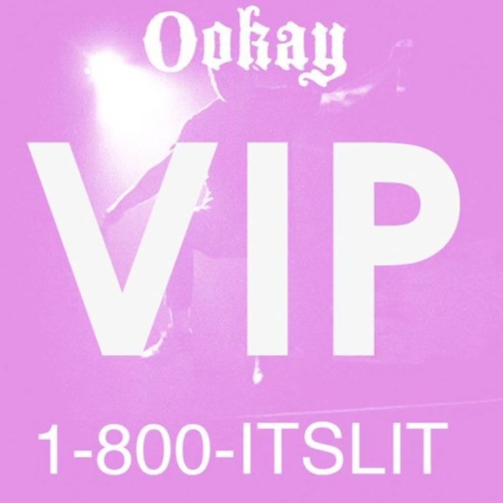 Hotline Bling (Ookay VIP Remix)专辑