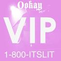 Hotline Bling (Ookay VIP Remix)专辑