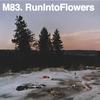 Run Into Flowers专辑