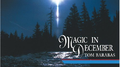 Magic in December专辑