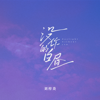 刘梓炎 - 没你的白昼(原版伴奏)