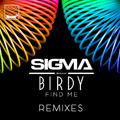 Find Me (Remixes)