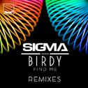 Find Me (Remixes)专辑