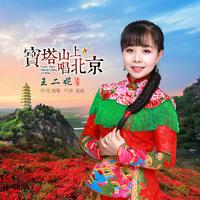 原版伴奏 王二妮 - 宝塔山上唱北京(1)