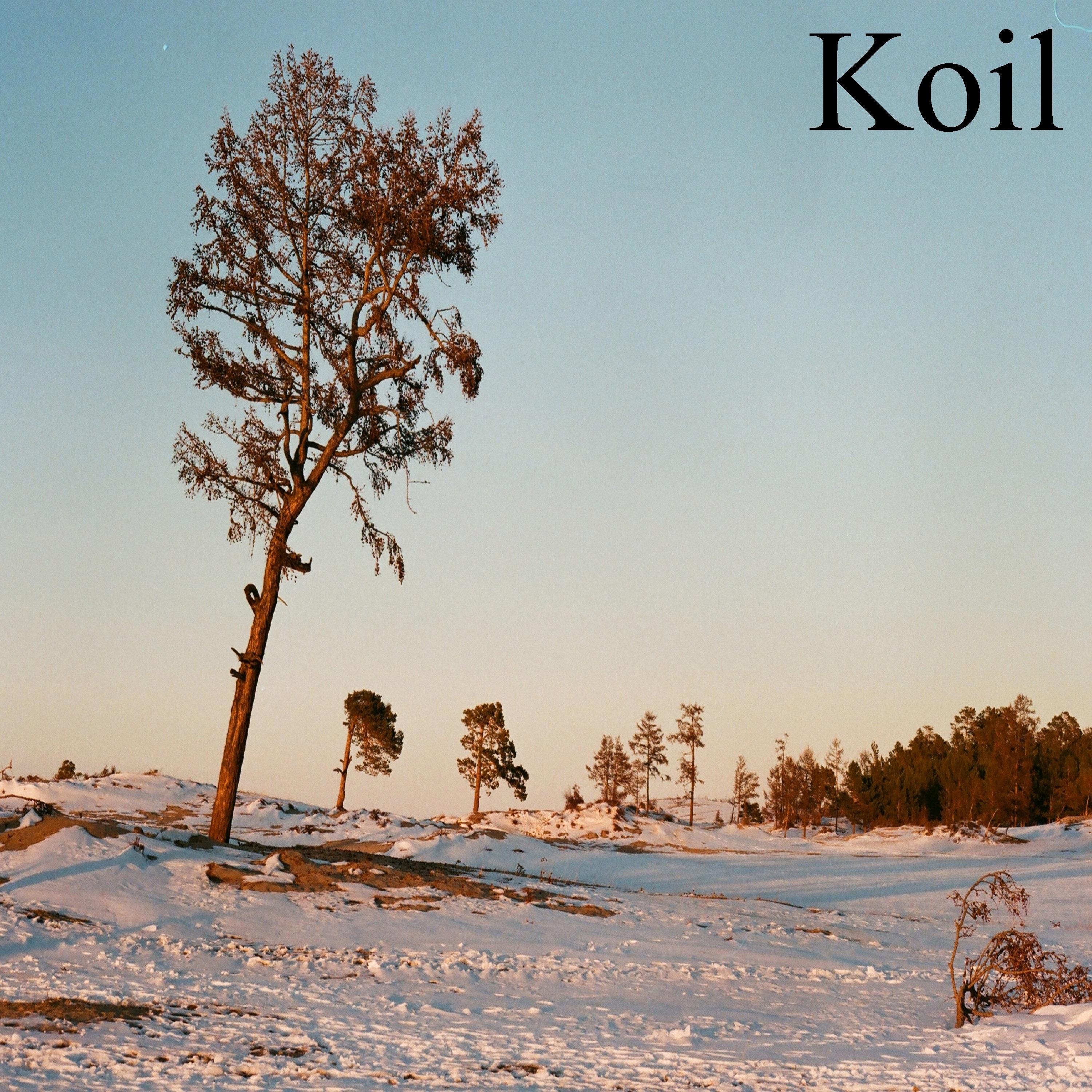 Koil