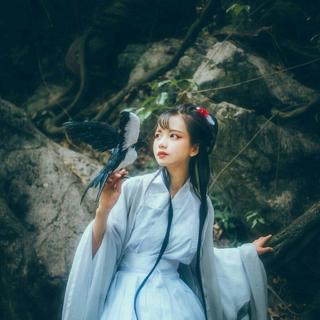 『B站』一见倾心系列BGM合集