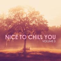 Nice to Chill You, Vol. 3