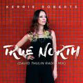 True North (David Thulin Radio Mix)