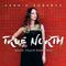 True North (David Thulin Radio Mix)专辑