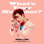 What’s Your Number? (Chinese Ver.)