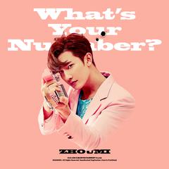 What’s Your Number? (Chinese Ver.)