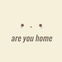 Are You Home (Broods Cover)专辑