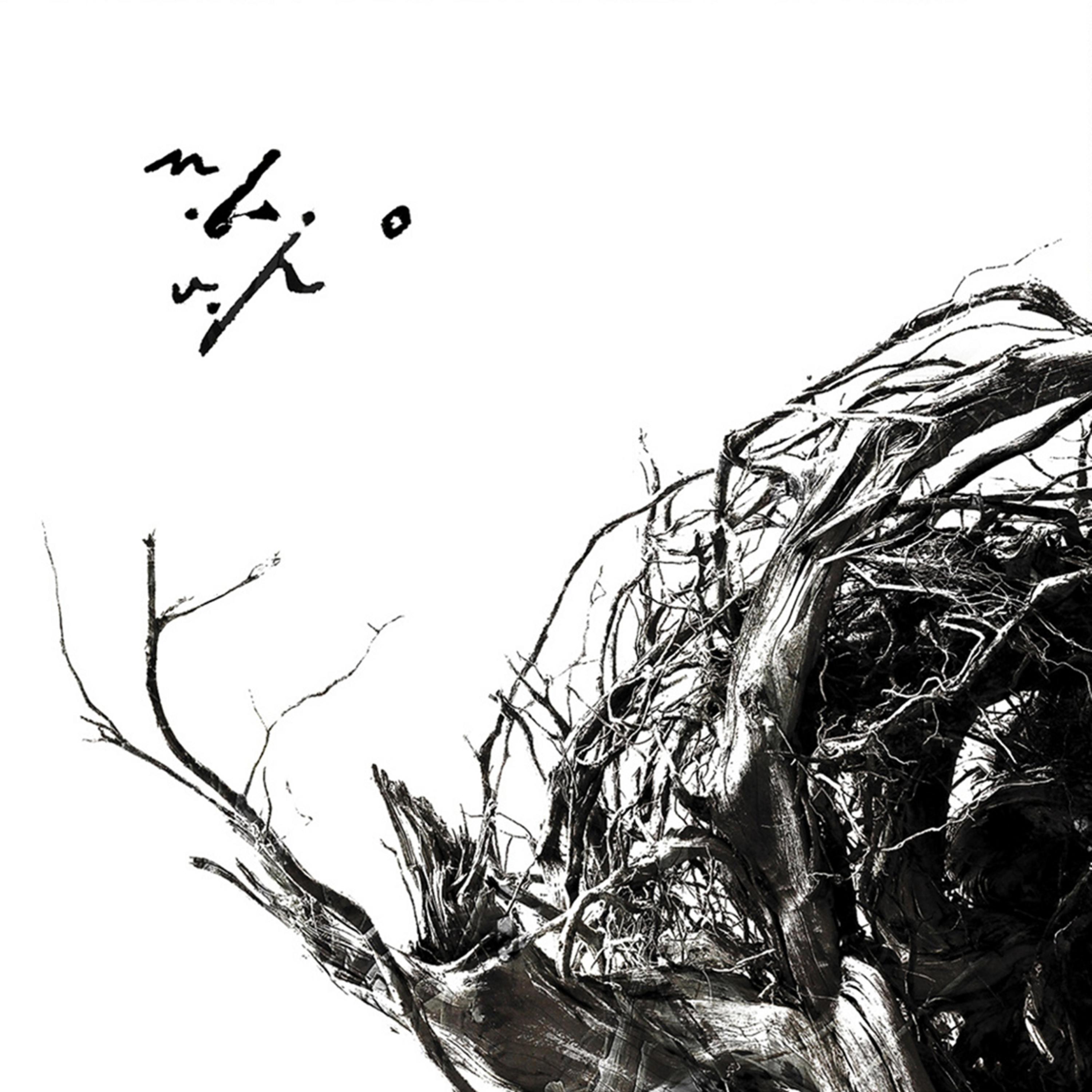 Tara De dinicolo De Negura