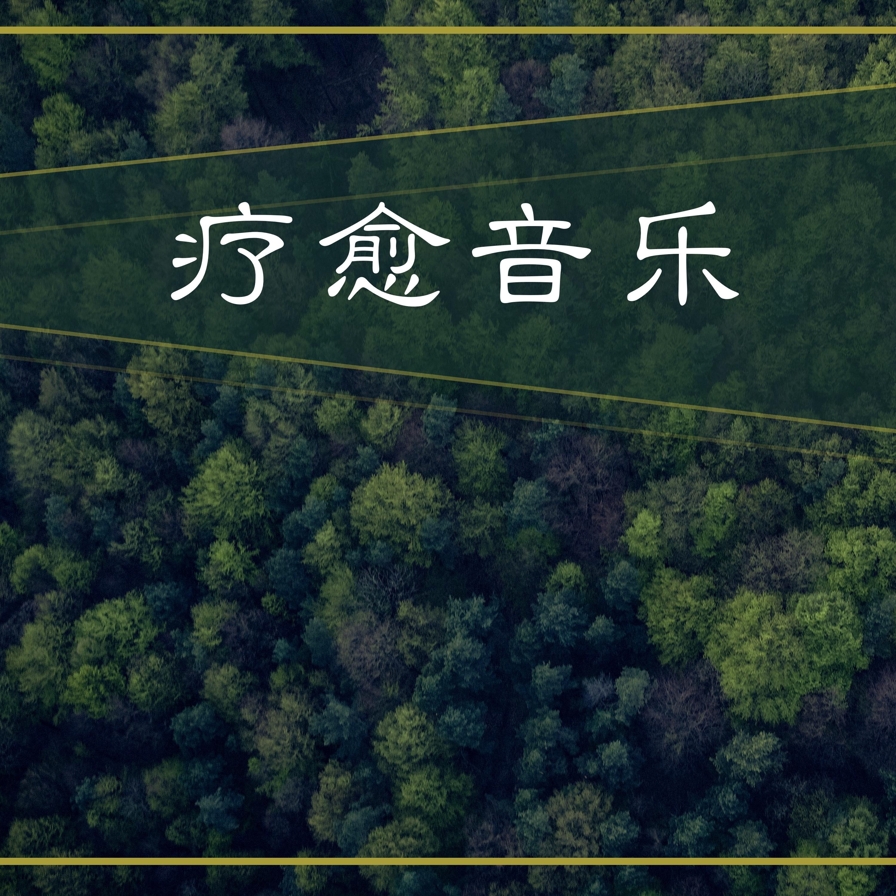 记录现实关注打开新页分享推荐喜欢网易知识公路短视频纯音乐疗愈音乐